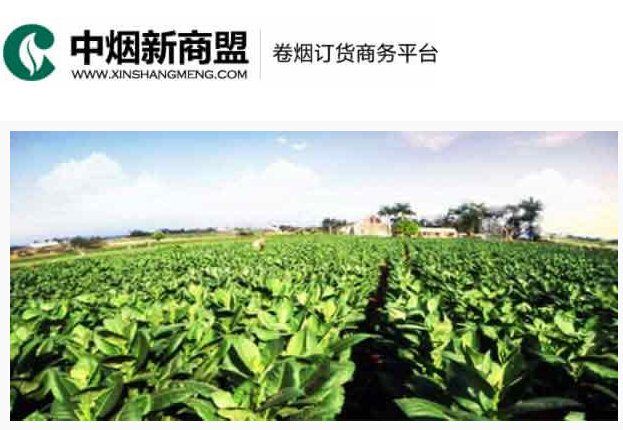新商盟网上订烟系统官方免费版 v1.