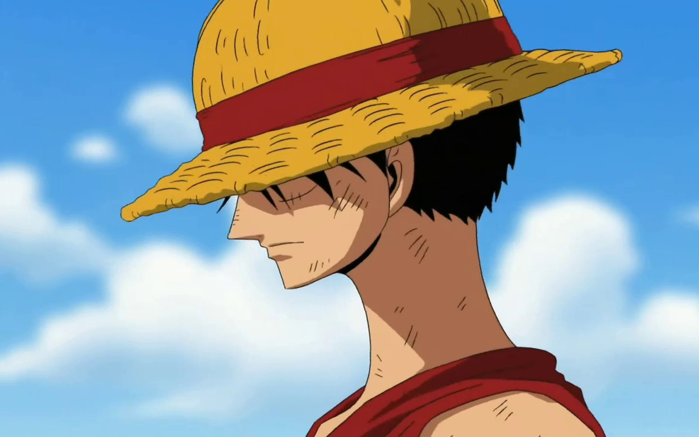 Luffy6