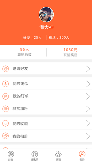 自己人联盟4