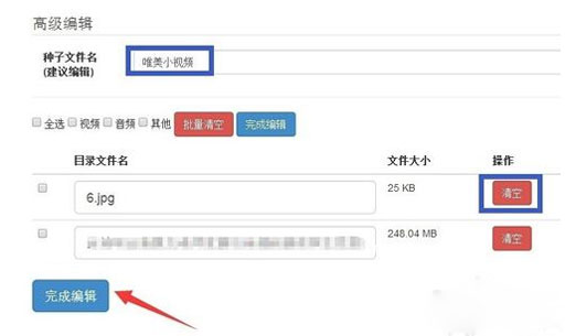 百度云离线下载错误怎么办2