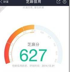 支付宝芝麻信用