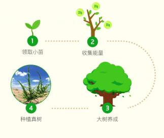 支付宝蚂蚁森林怎么领取树苗2