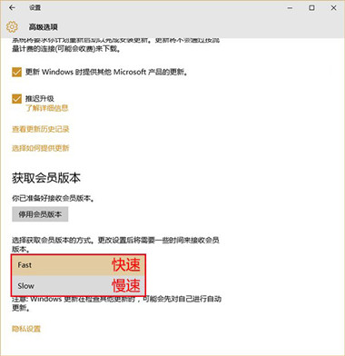 Win10预览版怎么升级,Win10预览版升级更新设置方法