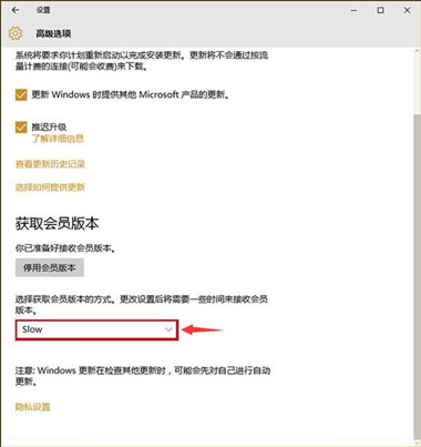 Win10预览版怎么升级,Win10预览版升级更新设置方法