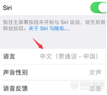 苹果iPhoneSE设置Siri语言教程详解