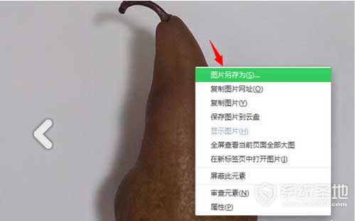 掌握 Instagram图片保存到手机的必备技巧