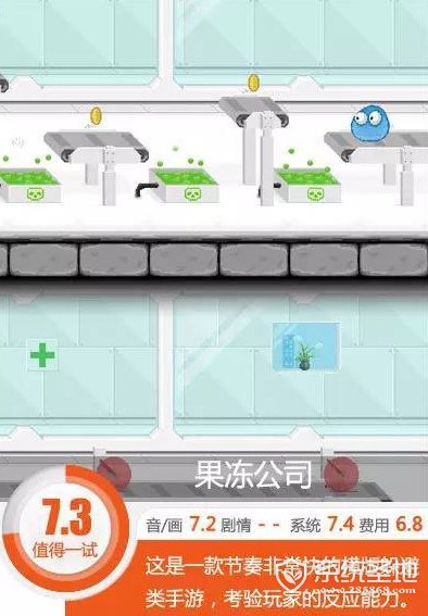 果冻公司怎么样