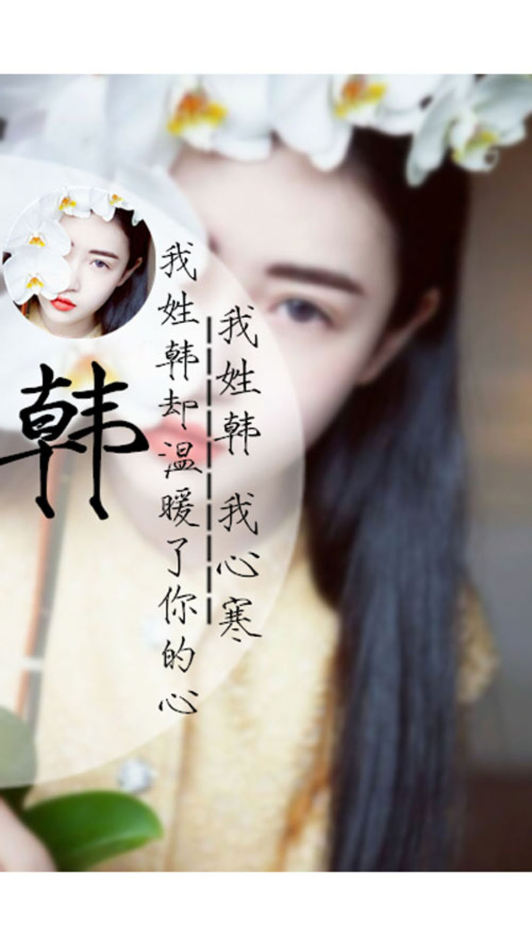 创意百家姓美女背景手机壁纸下载组图5