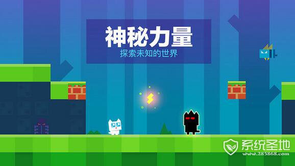 幻影猫