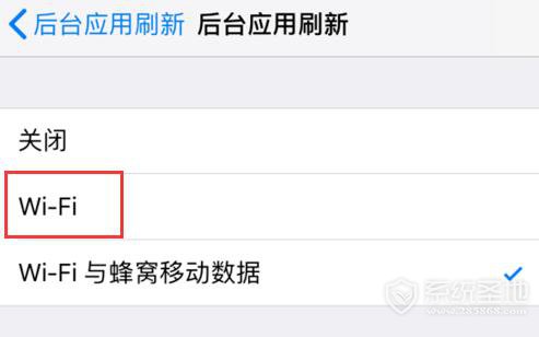 iphone后台流量偷跑怎么办