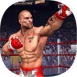 拳擊斗士2021安卓版 V1.0.5