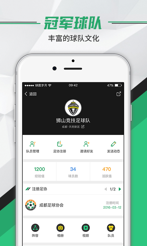 绿茵岁月