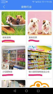 超级名录汉化版截图4