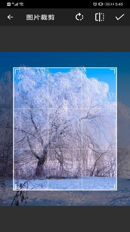 简单画笔官方版截图3
