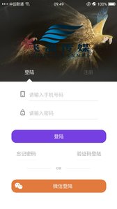 飞鸽传媒安卓版截图2