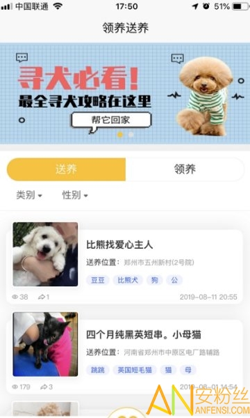 找狗寻狗官方版截图3
