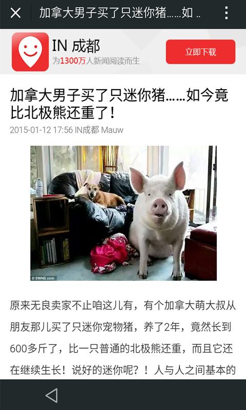 IN成都官方版截图4