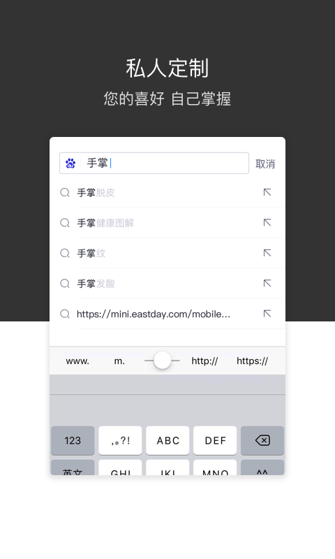 绿叶浏览器网页版截图3