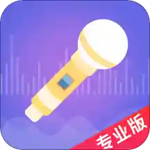 语聊音频变声器官方正版