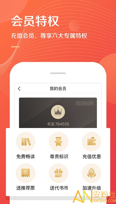 小说大巴