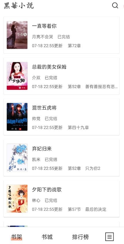 黑莓小说免费版