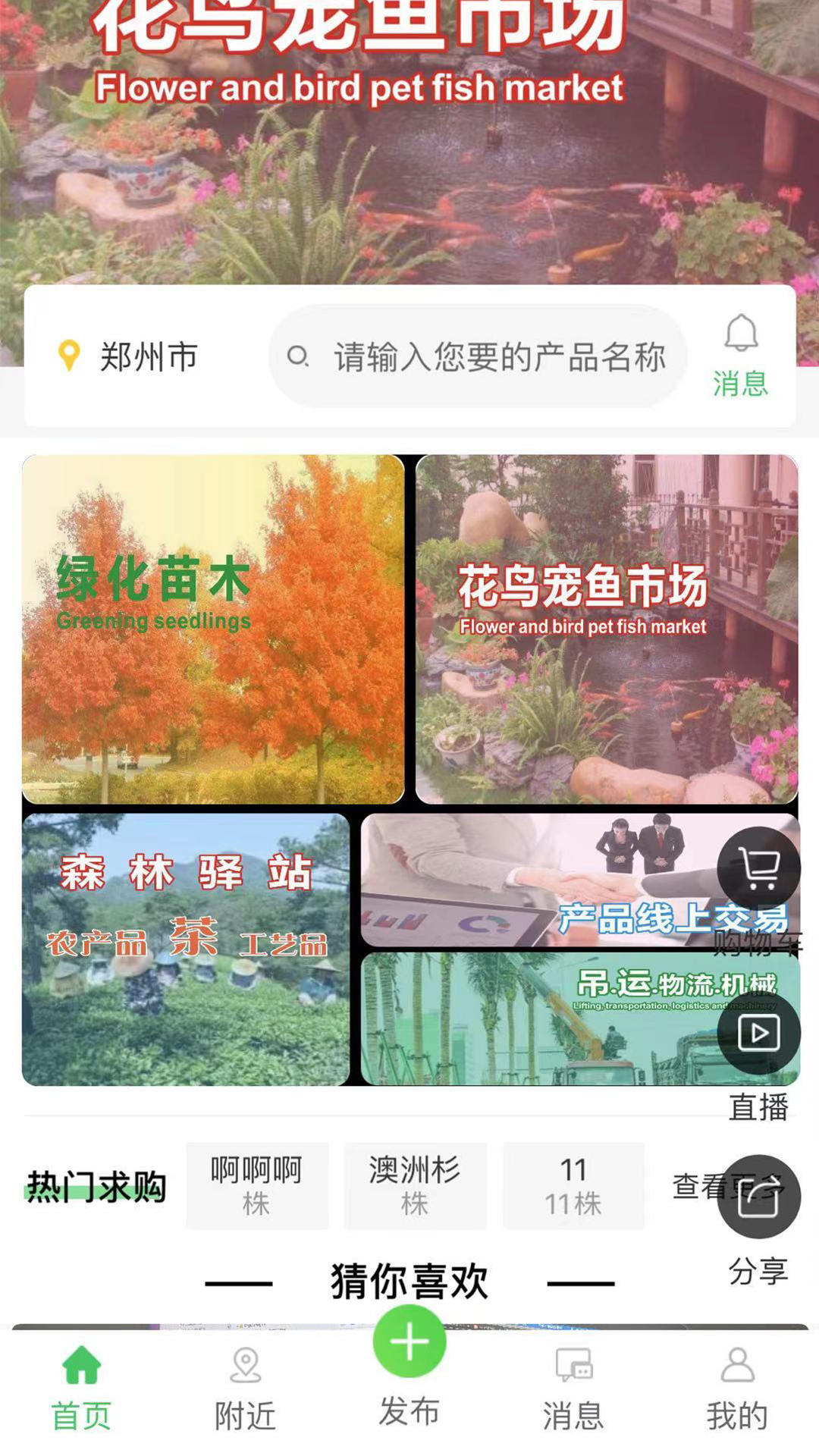 花木森林无限制版截图2