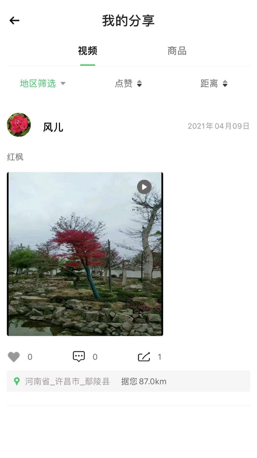 花木森林无限制版截图3