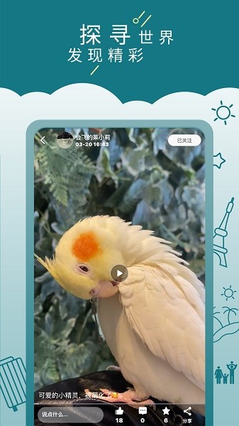 走来走趣精简版截图2