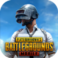 pubg安卓国际服安卓版