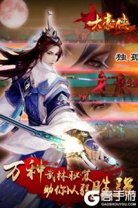 大豪侠正式服版截图3