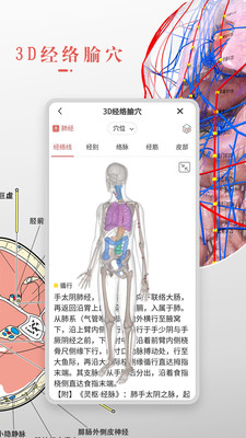 3dbody解剖学