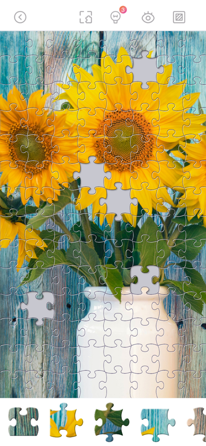 Jigsaw Puzzles Daily