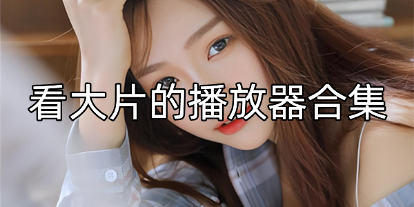 看大片的播放器合集