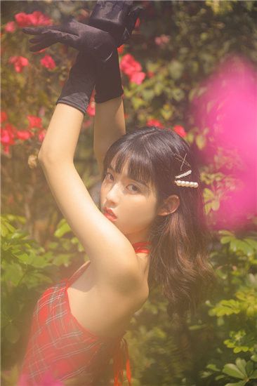 蜜柚