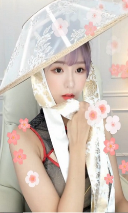 木瓜视频