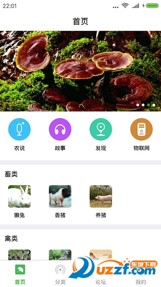 农抓手