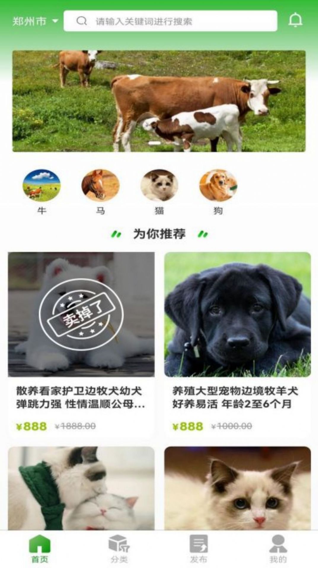 牧圣岛去广告版截图2