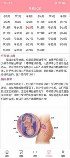 孕婴安孕妇端正式版截图2