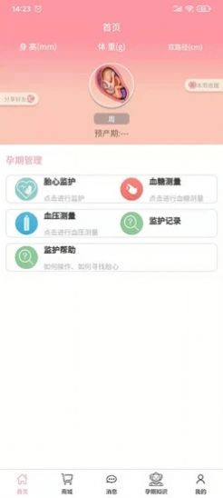 孕婴安孕妇端正式版截图3