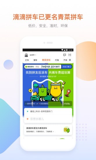 青菜拼车精简版截图2