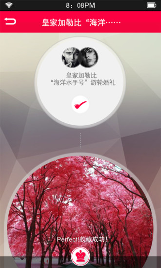 爱结婚礼指南正式版截图3