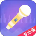 语聊音频变声器安卓版