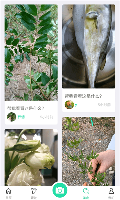 生活识物网页版截图2