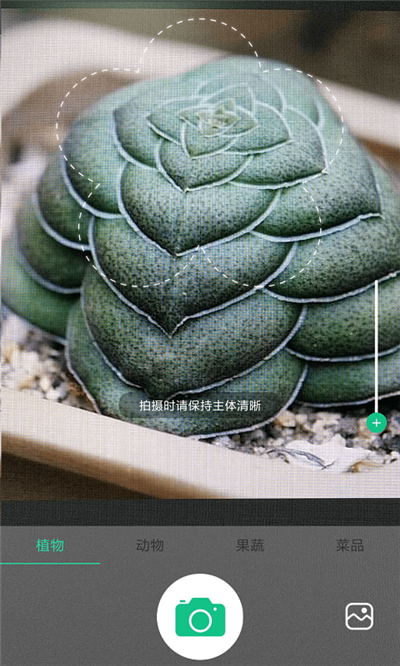 生活识物网页版截图3