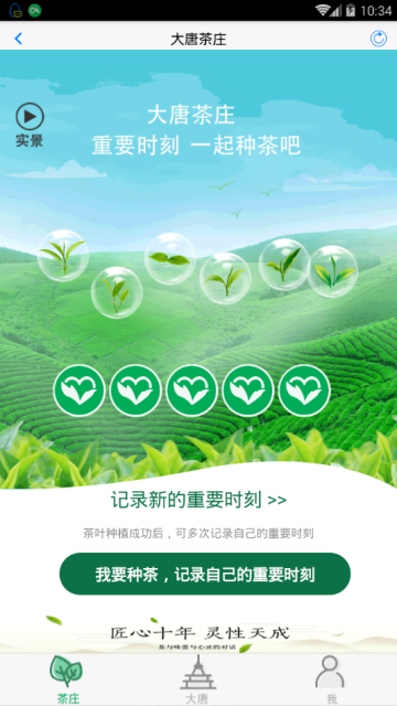 大唐茶庄网页版截图4