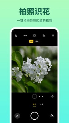 花多多完整版截图3