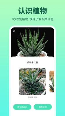 花多多完整版截图2