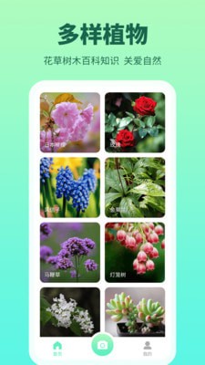 花多多完整版截图4