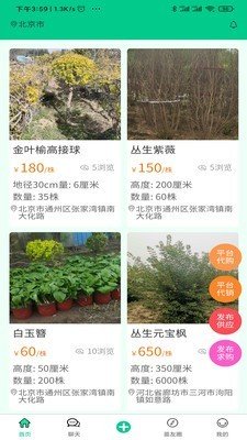 苗木人完整版截图2