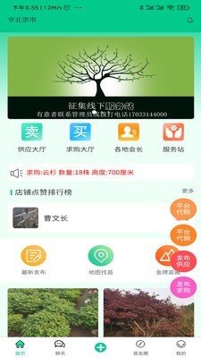 苗木人完整版截图3